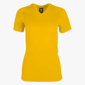 Women's Performance Basic Training V-Neck Tee