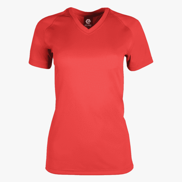 Women's Performance Basic Training V-Neck Tee